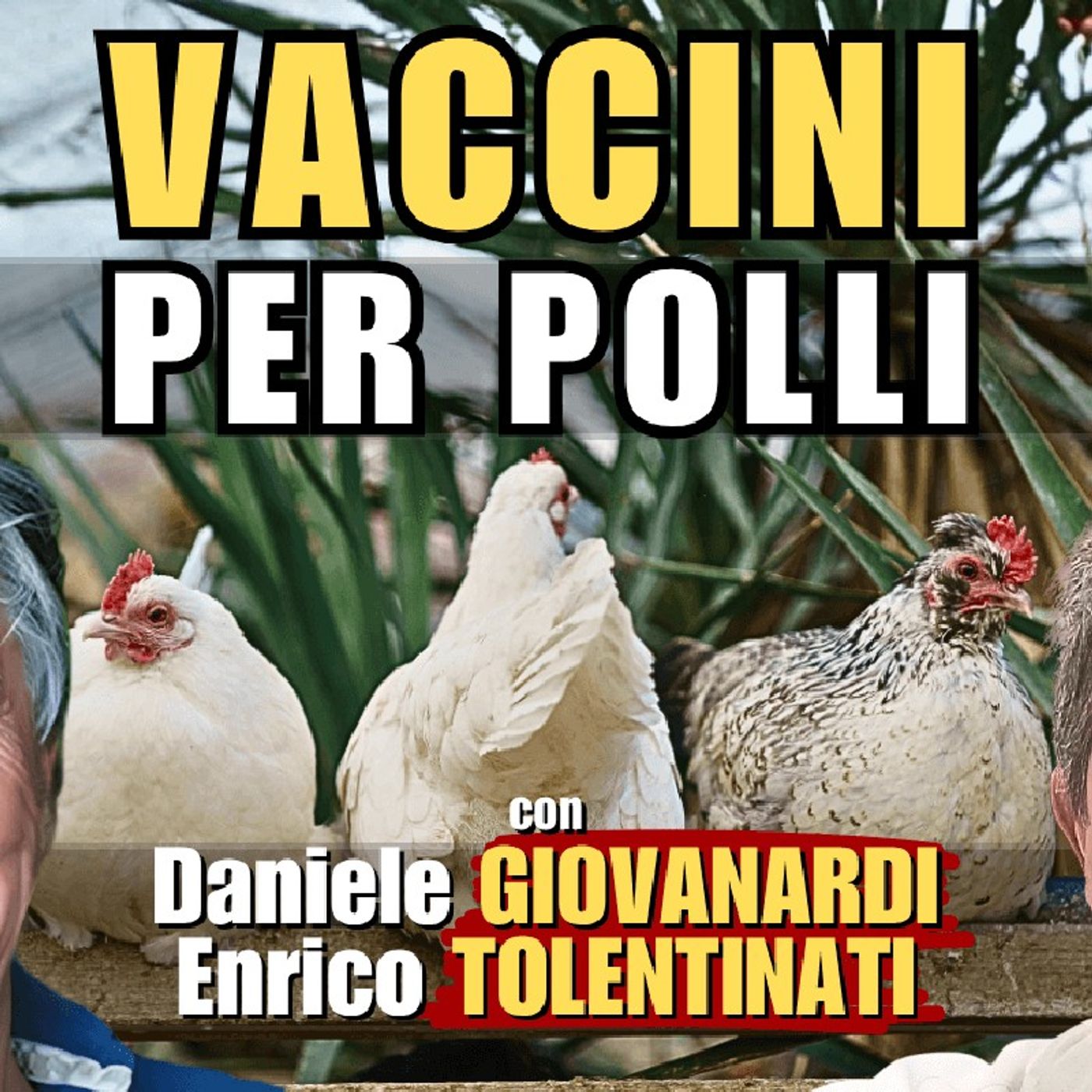 #VACCINI per polli – con Daniele GIOVANARDI ed Enrico TOLENTINATI | Alla Mezza episode artwork
