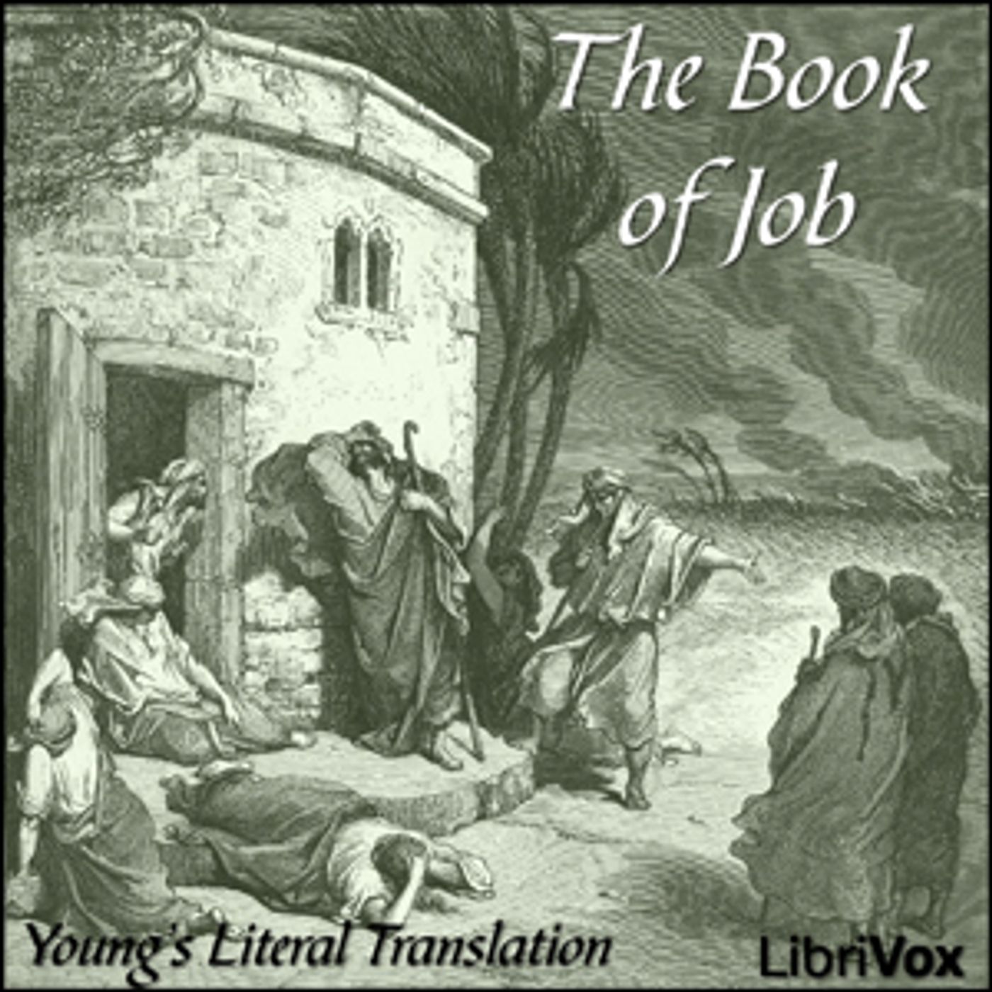 Bible (YLT) 18: Job by Young's Literal Translation podcast artwork