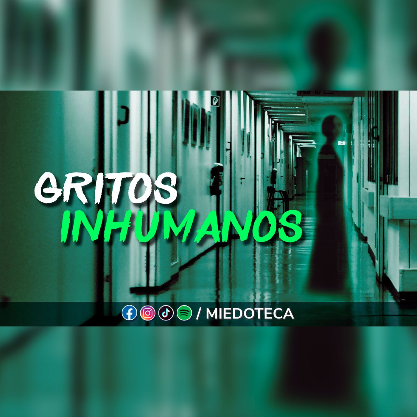 Miedoteca