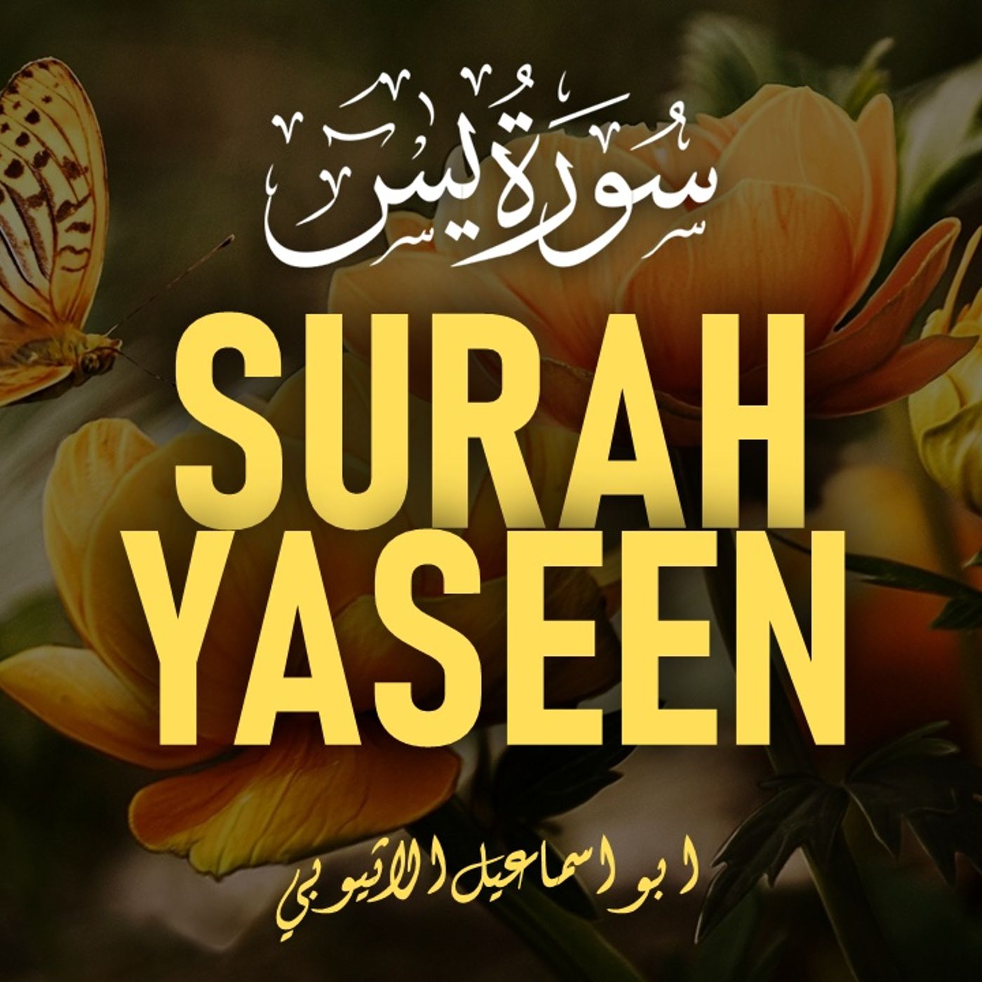 Quran by Ibrahim Yusuf ┋ القرآن الكريم لإبراهيم يوسف