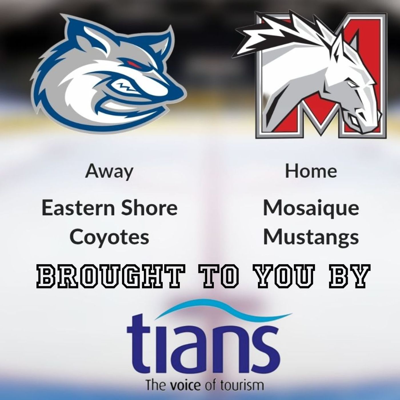 Hockey - Coyotes vs. Mustangs episode artwork