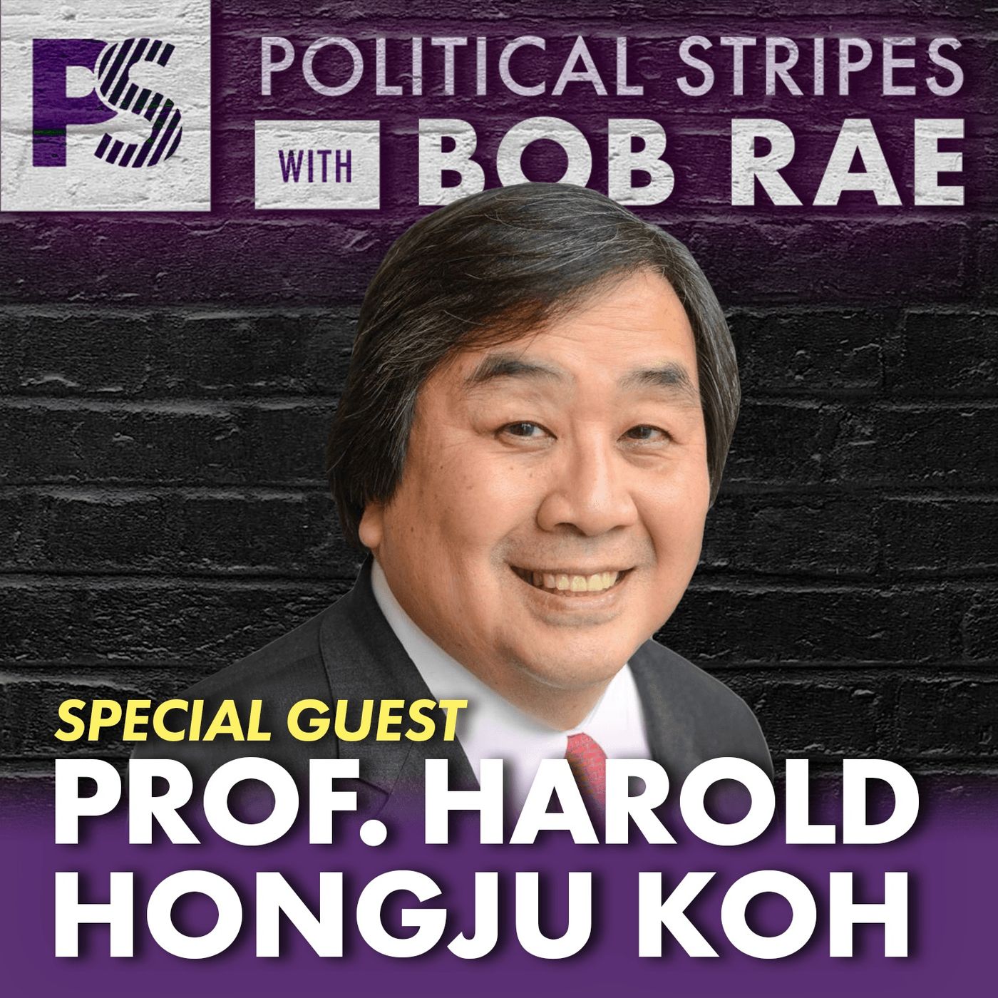 Political Stripes with Bob Rae