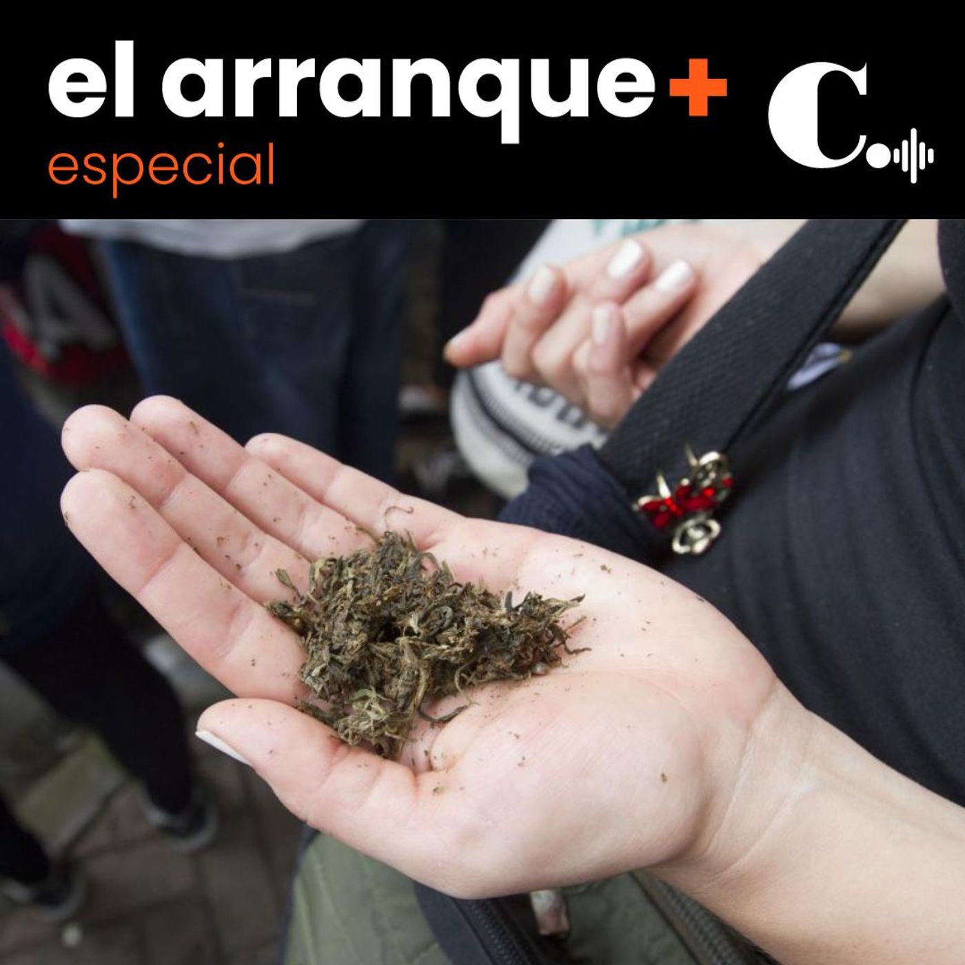 410. Consumo y comercialización del cannabis: a dos debates de ser ley episode artwork