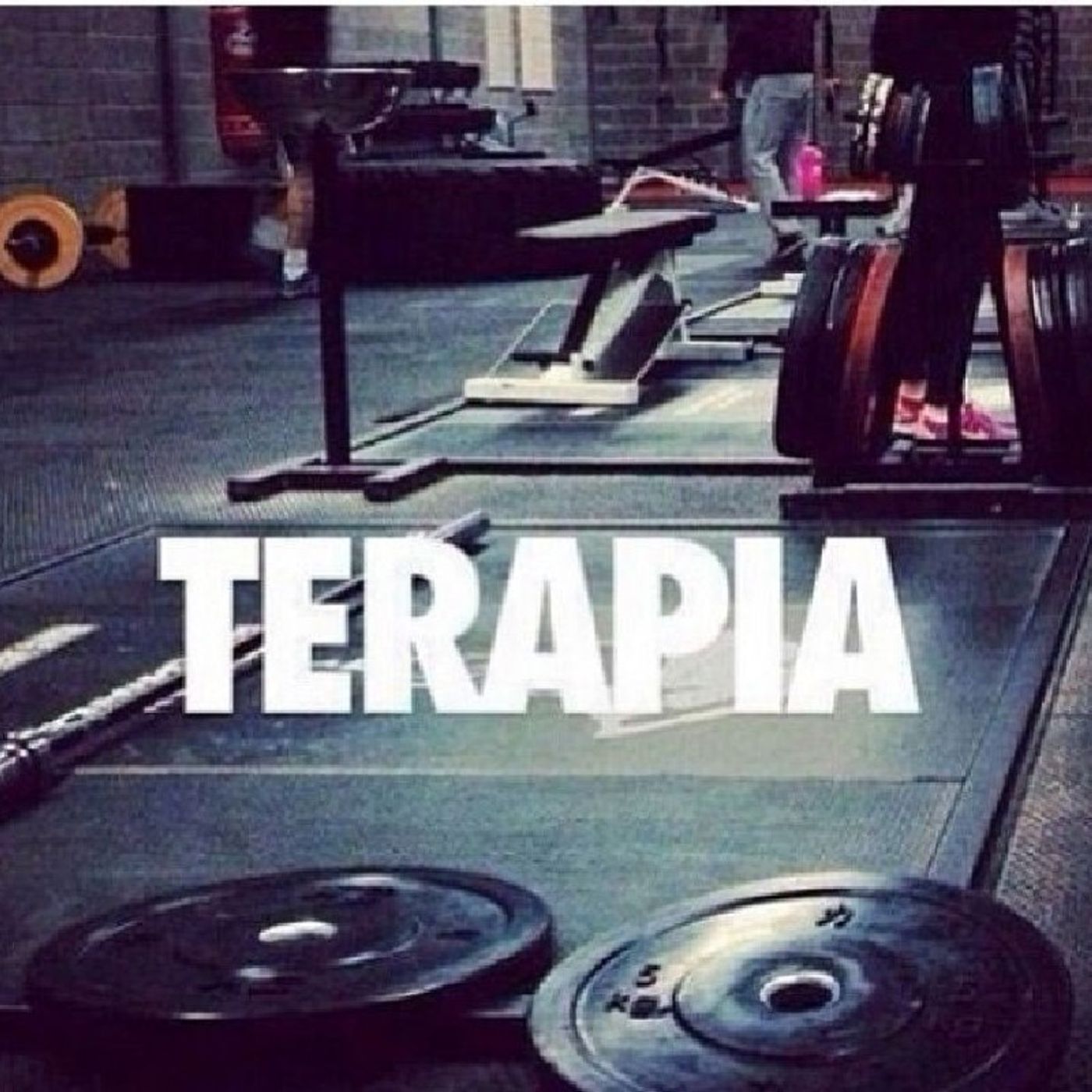 El Gimnasio Si Importa 2AM I.A