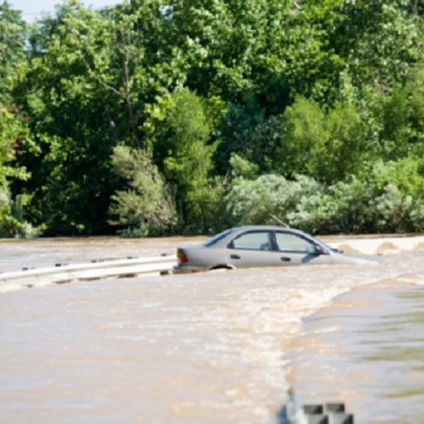 TV reporter leaves his "live shot"  to rescue a woman from rising flood waters (Smile File) episode artwork