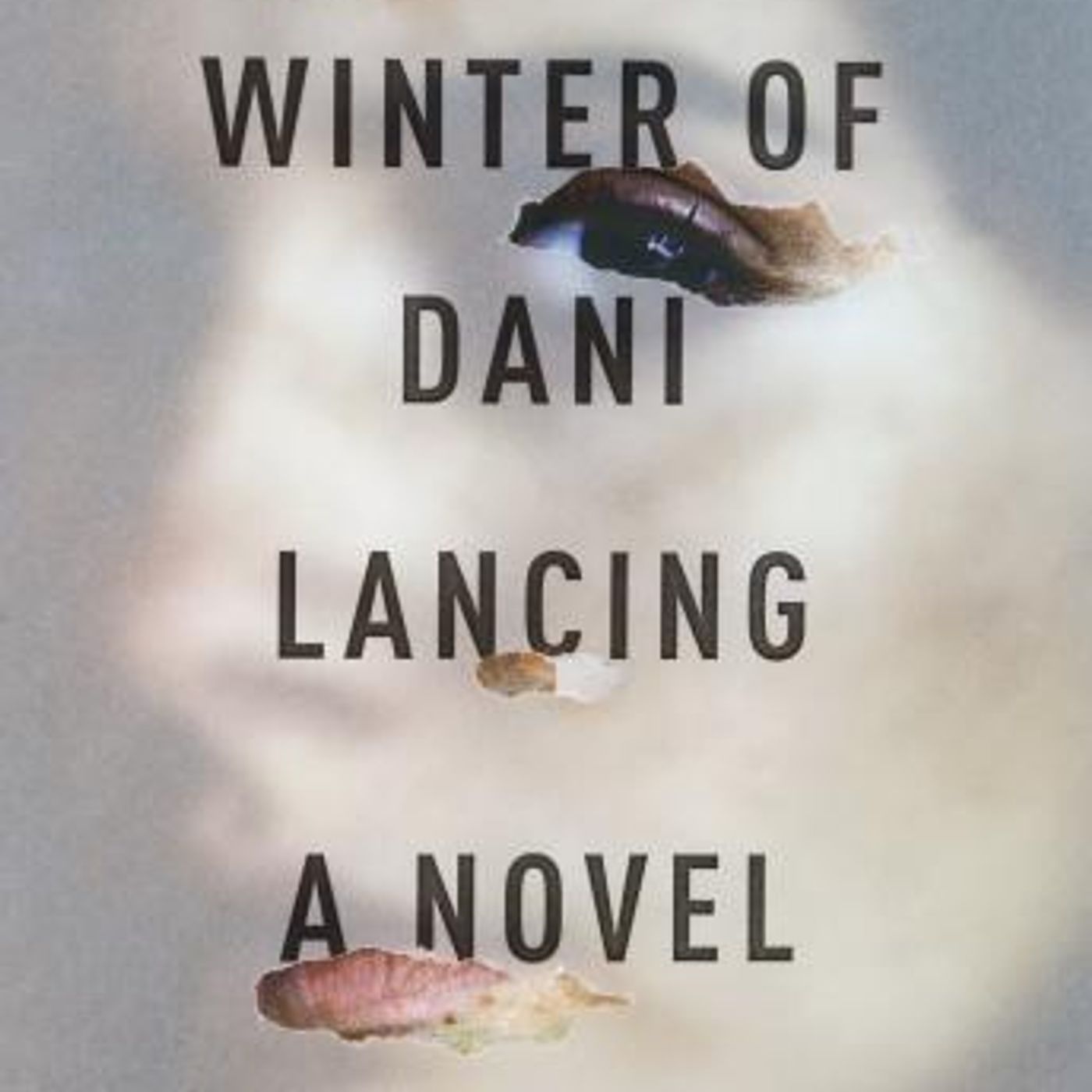 The Last Winter of Dani Lancing: A Novel by P. D. Viner episode artwork