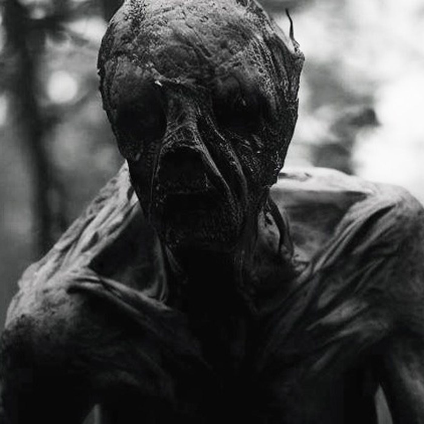 El SkinWalker Del Bosque De Milpillas Historias De Terror - REDE