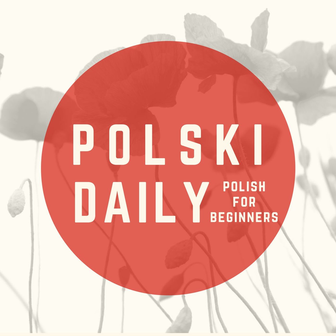 How to use verbs of motion in Polish? - podcast episode cover