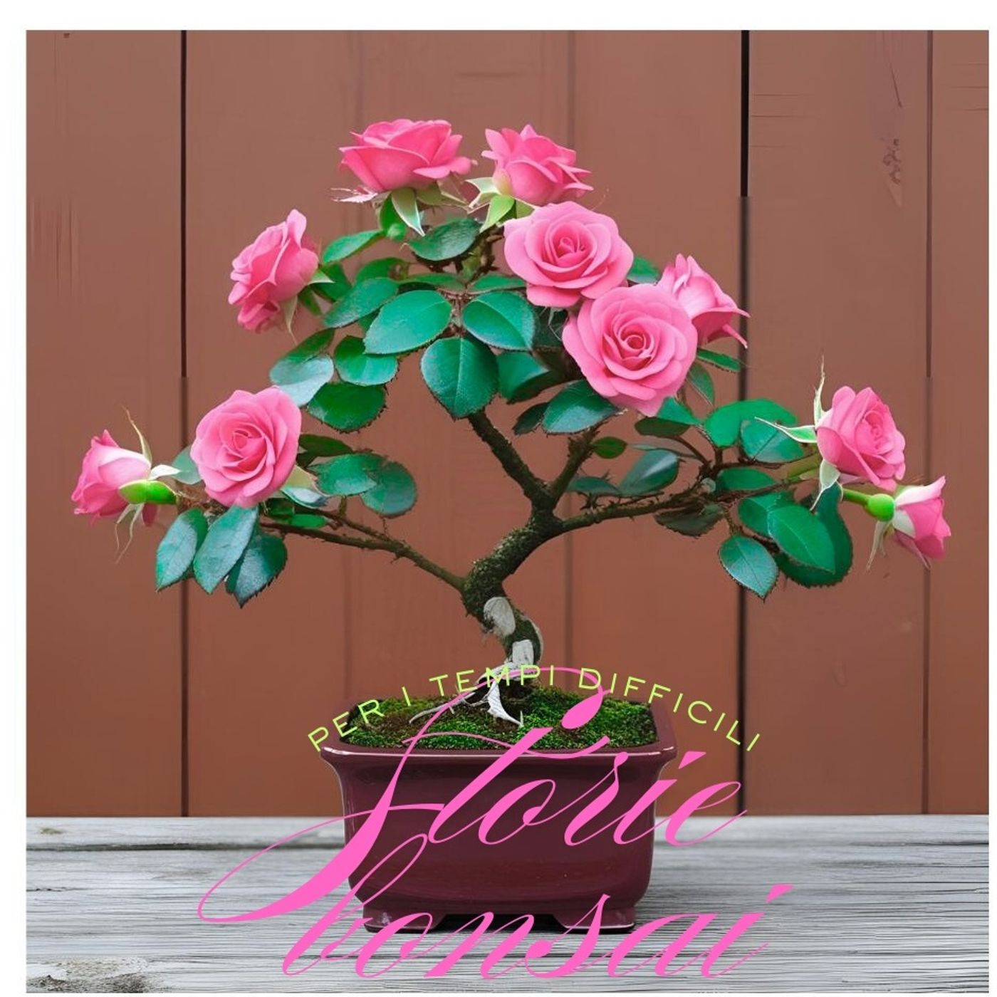 Storie bonsai per i giorni difficili podcast artwork