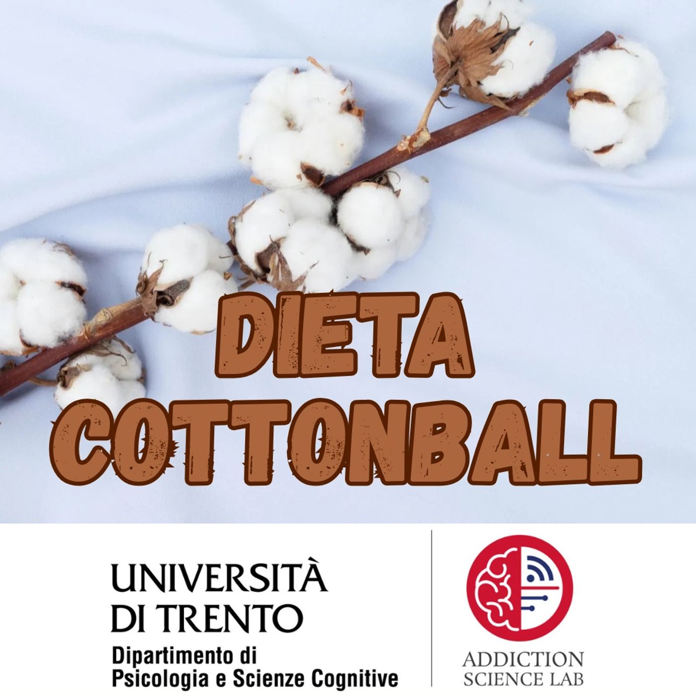Dieta Cottonball episode artwork