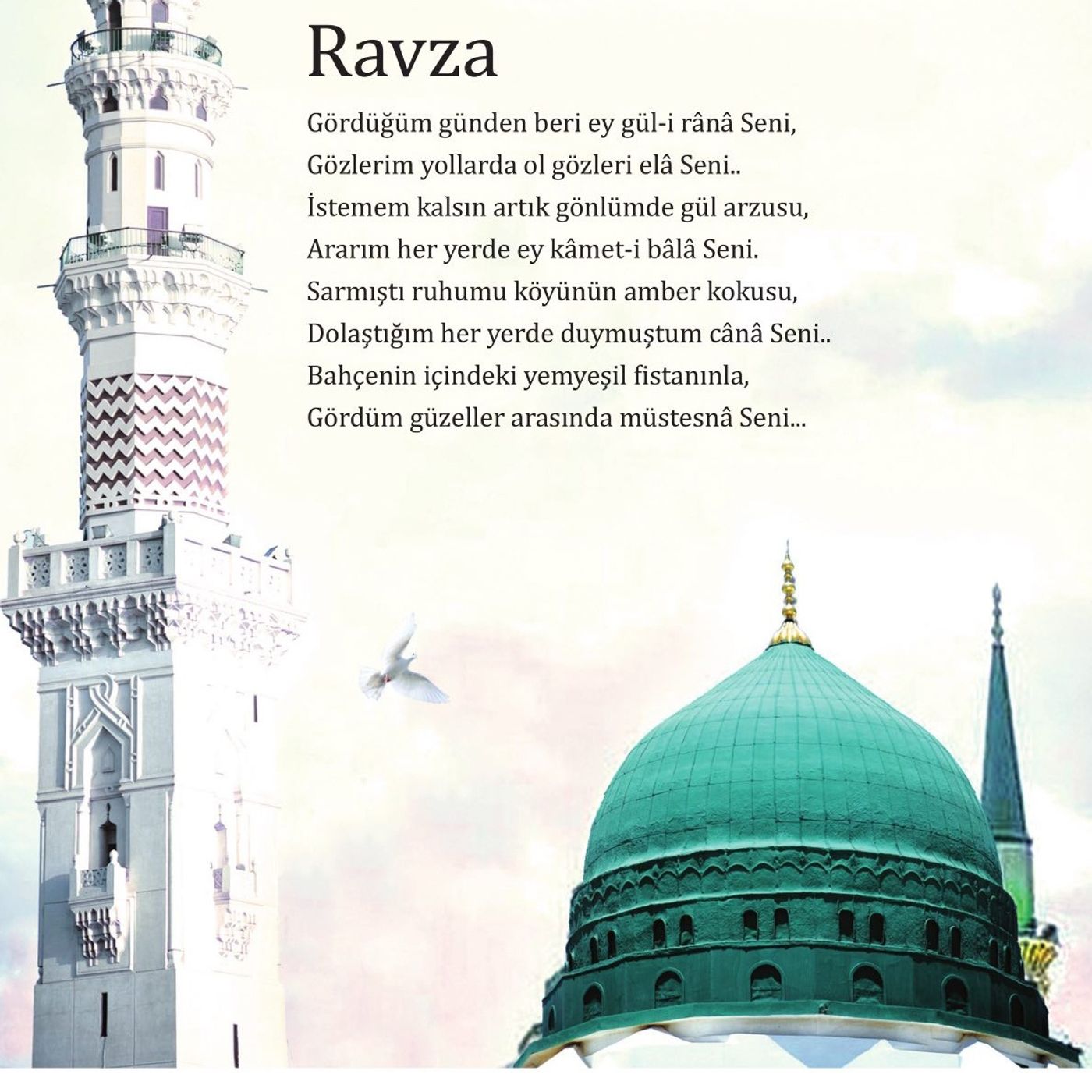 Ravza episode artwork