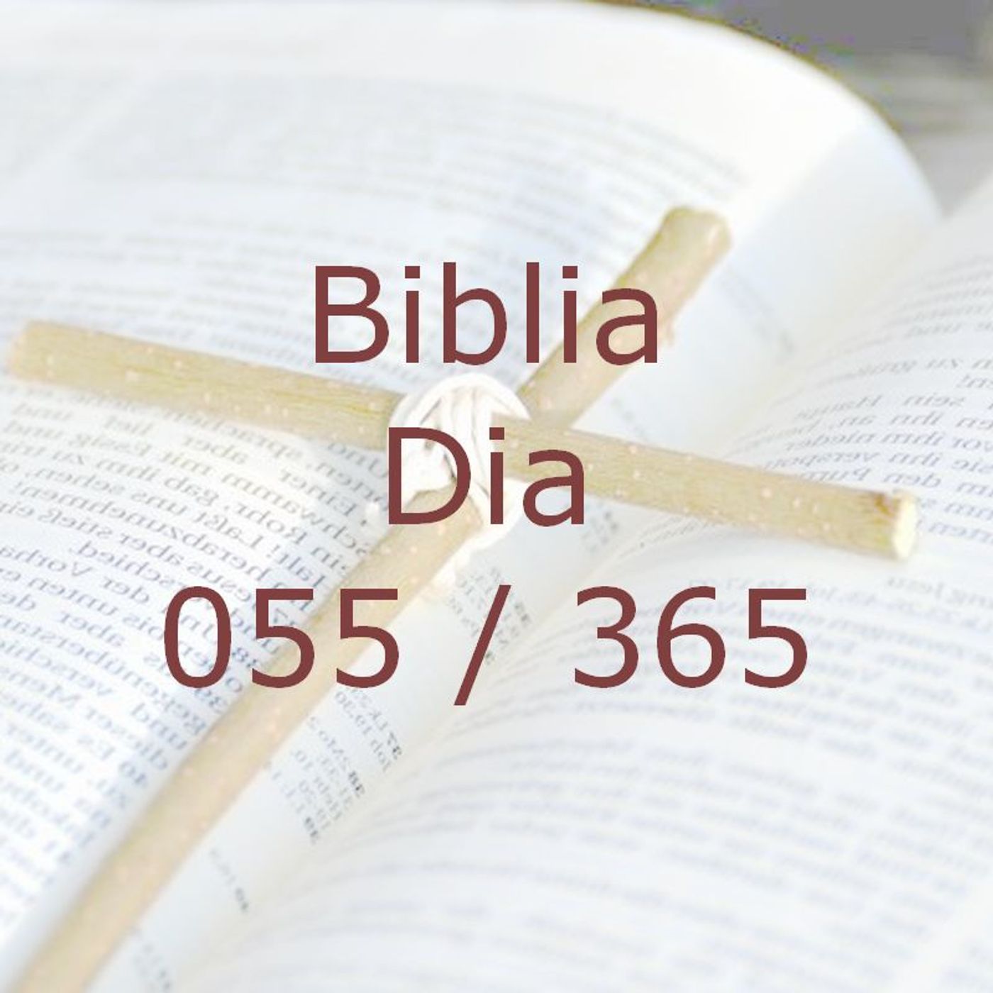 La Biblia en 365 dias