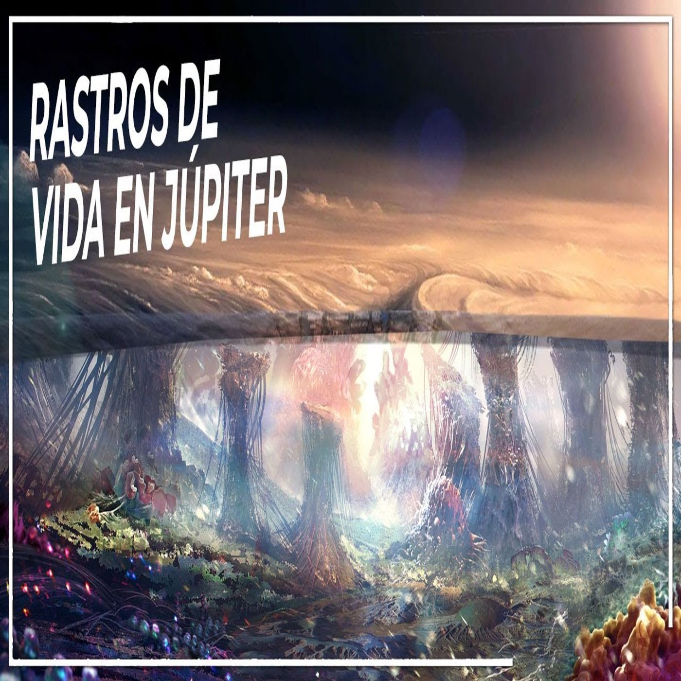 Jodisea Mundo Odiseas Documentales Podcast para dormir en Español Audio Libros Historia Niños+Adulto