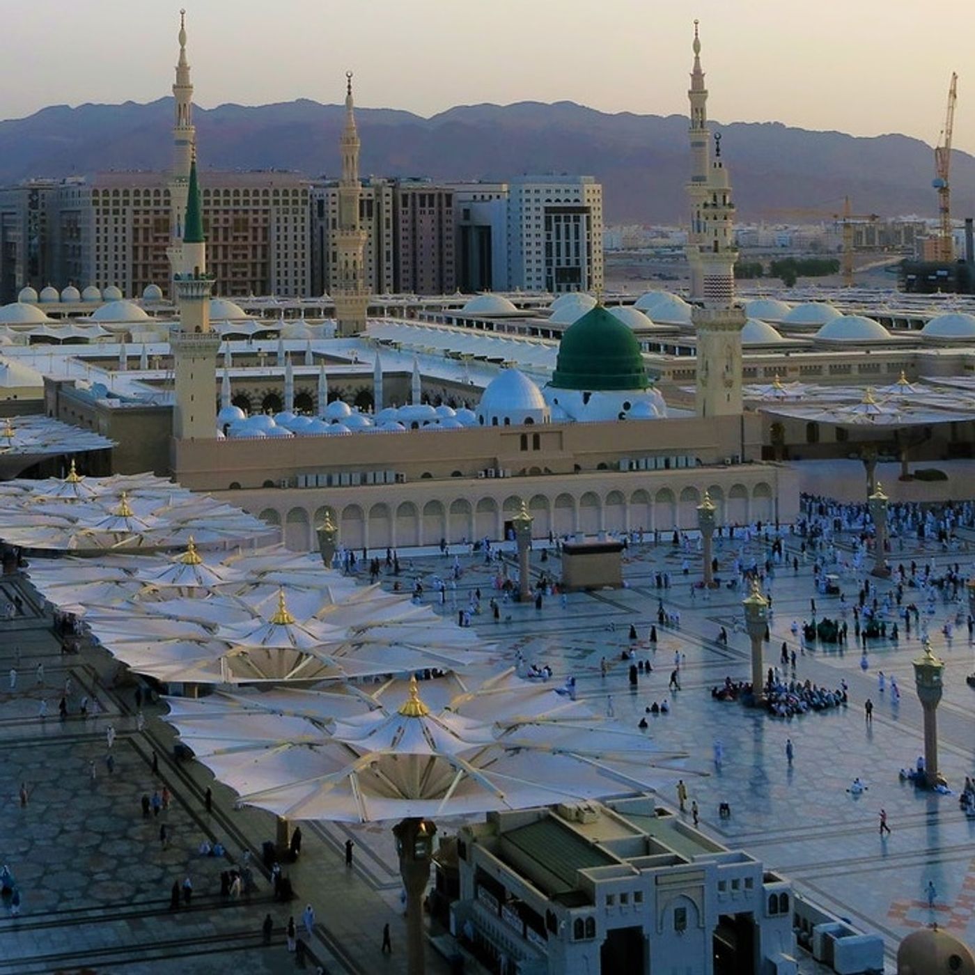 Khutbahs and Lectures