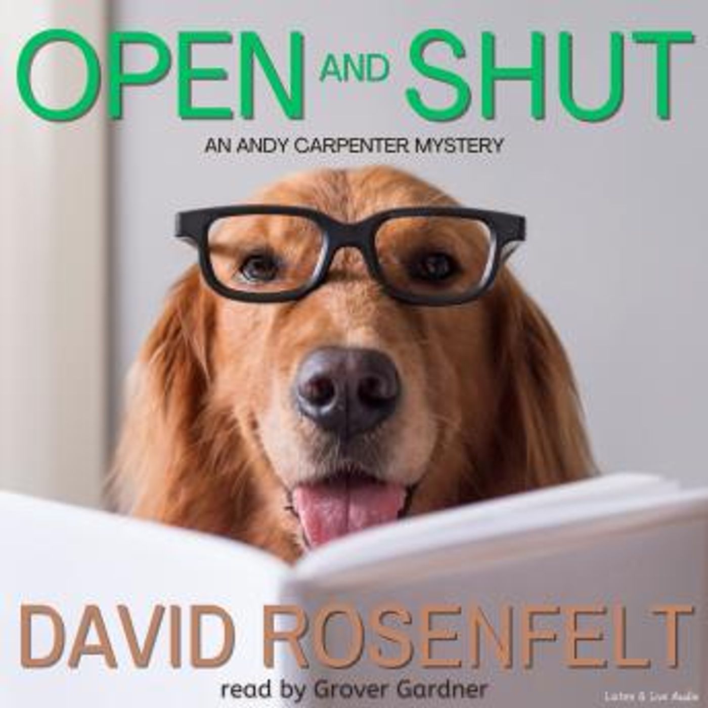 Access Must-Have Free Audiobooks in Mystery, Thriller & Horror, Suspense