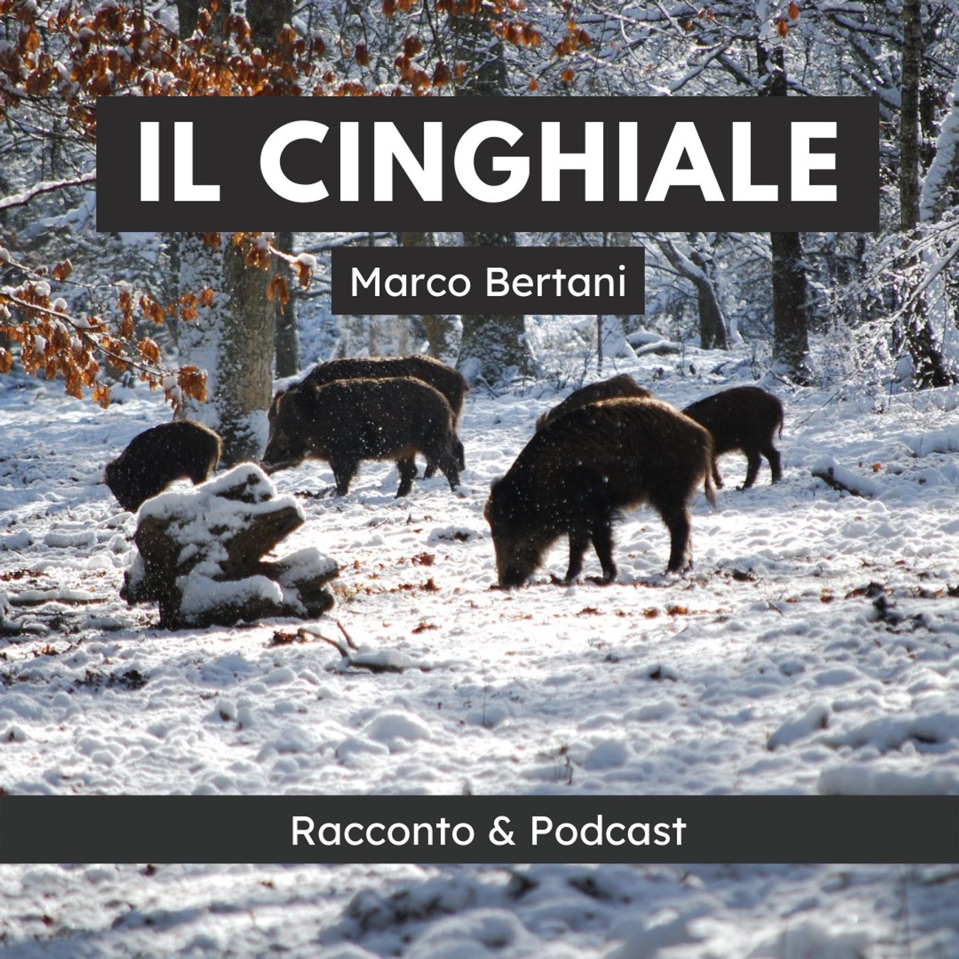 Racconti crudeli di Marco Bertani