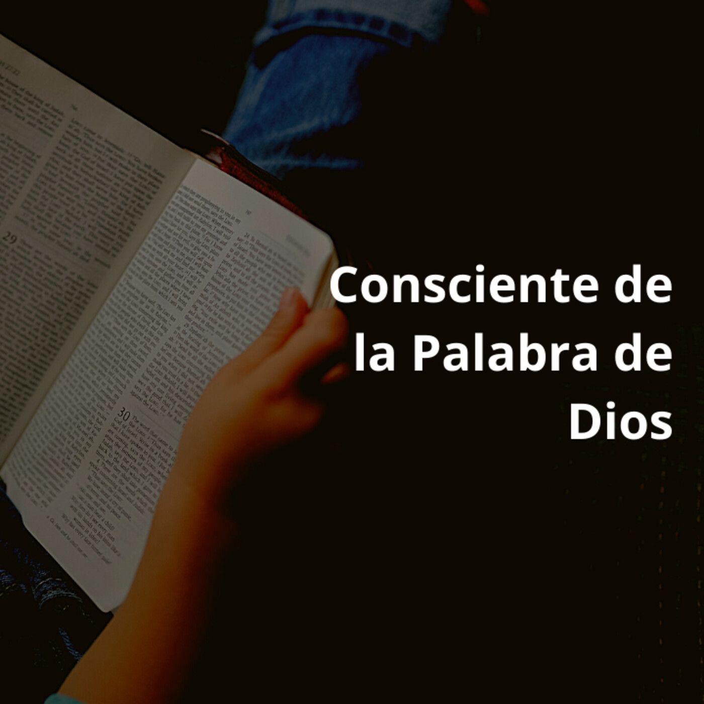 Reflexiones Cristianas