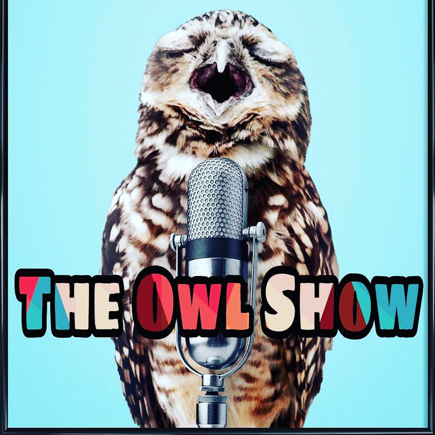 The Owl Show cover art