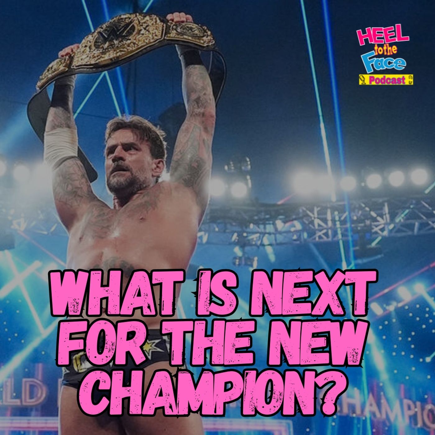 Whats Next For Punk and Who's Next For Cena? Whats Next For Punk and Who's Next For Cena?