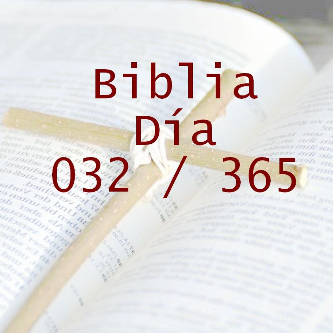 La Biblia en 365 dias