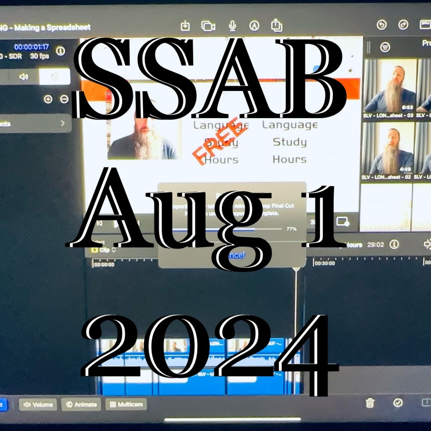 The Audio Blog of Steven Sirski