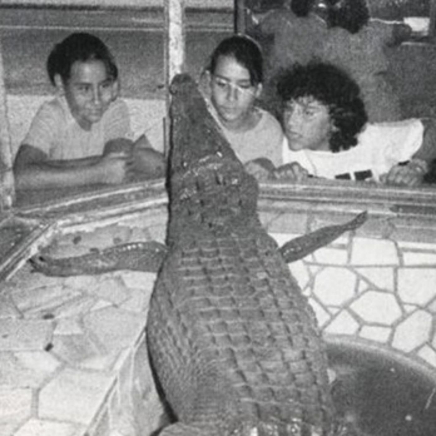 Historias Y Cuentos Juveniles