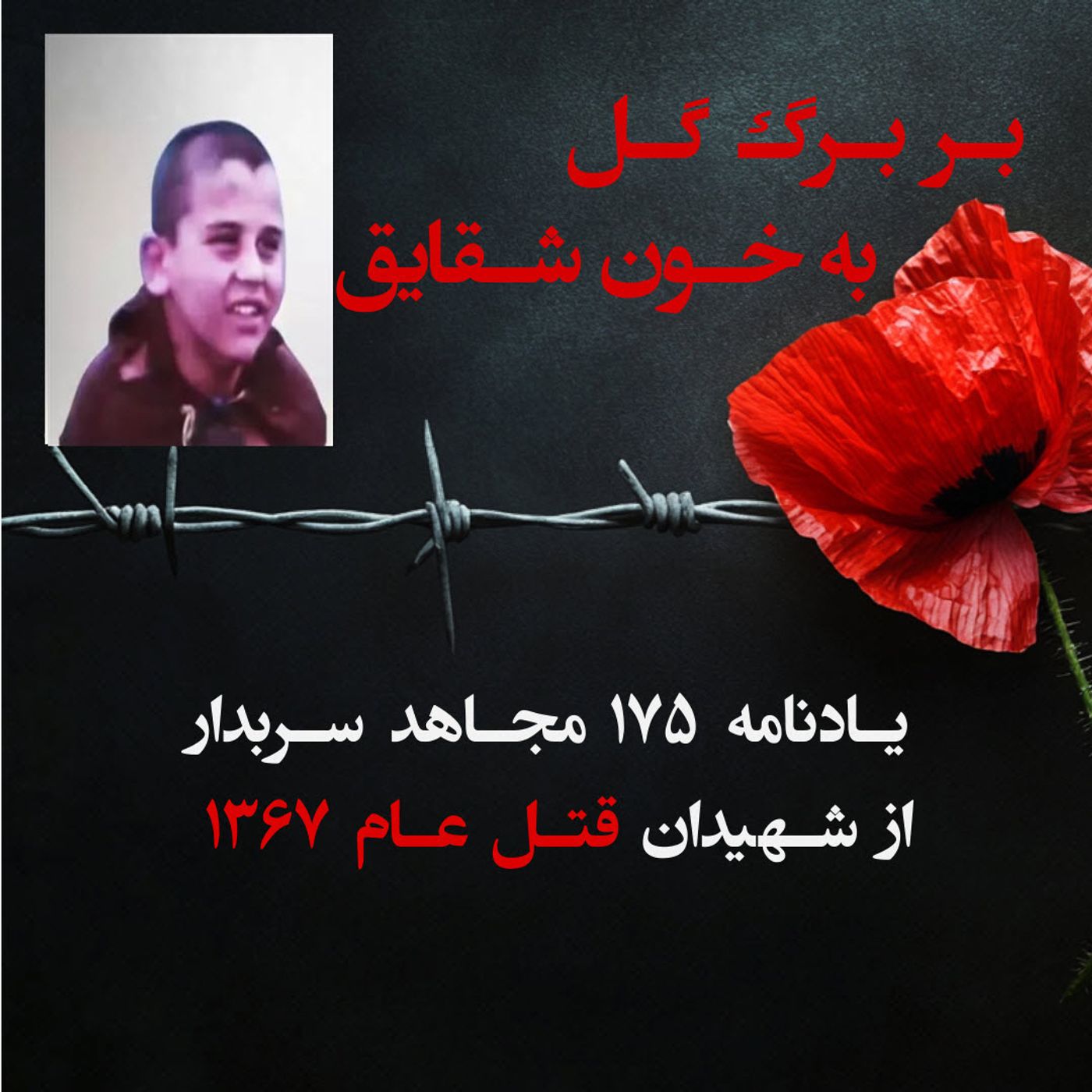 بربرگ گل به خون شقایق- محسن محمدباقر