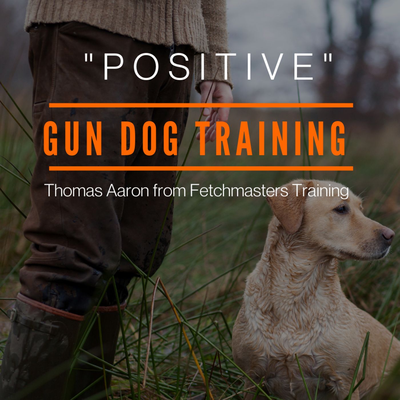 "Positive" Gun Dog Training