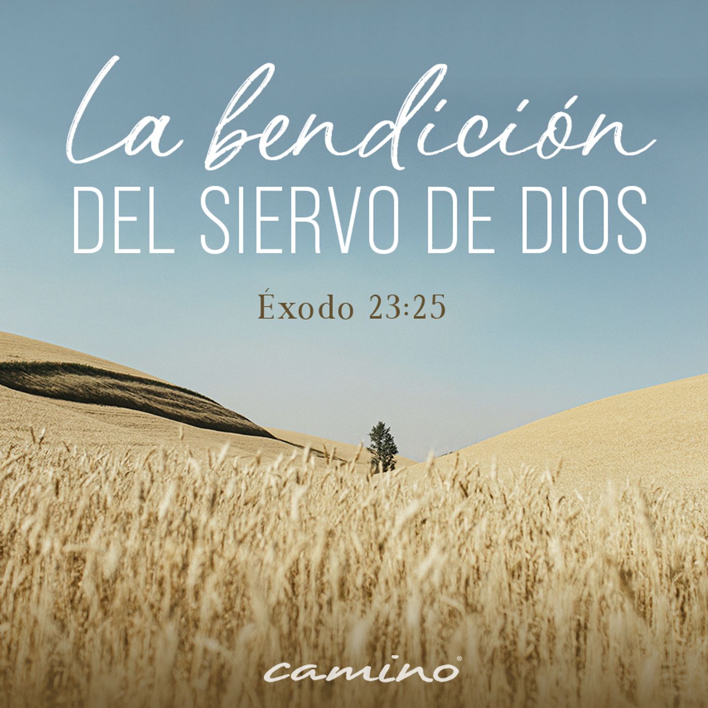 Oración 27 de febrero (La bendición del siervo de Dios) episode artwork