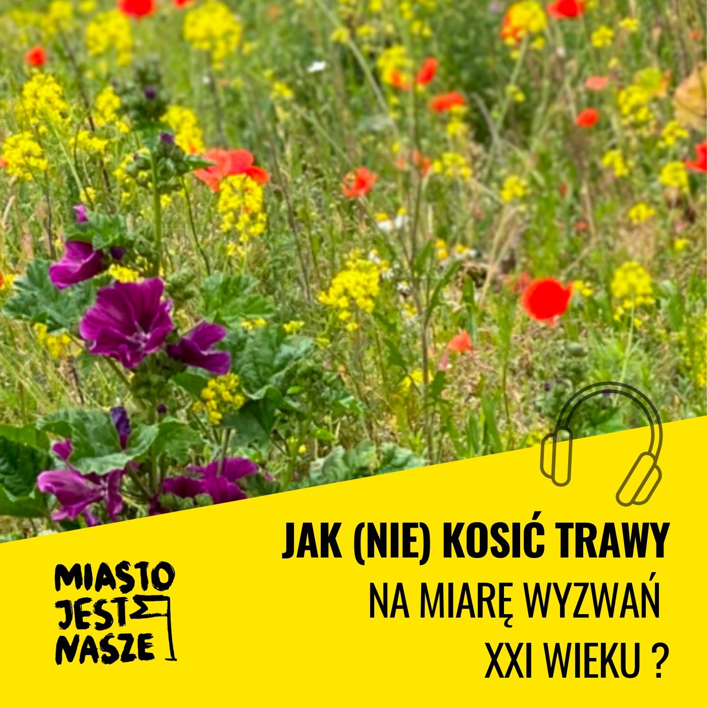 Miasto Jest Nasze