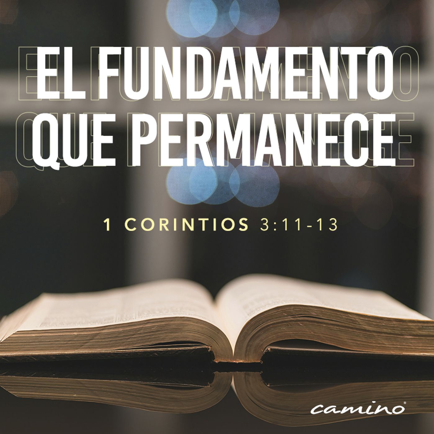 Oración 20 de noviembre (El fundamento que permanece) episode artwork