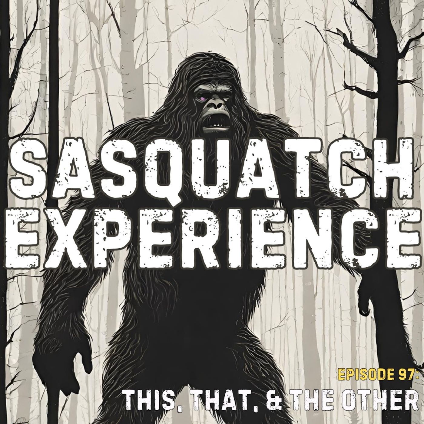 Sasquatch Experience