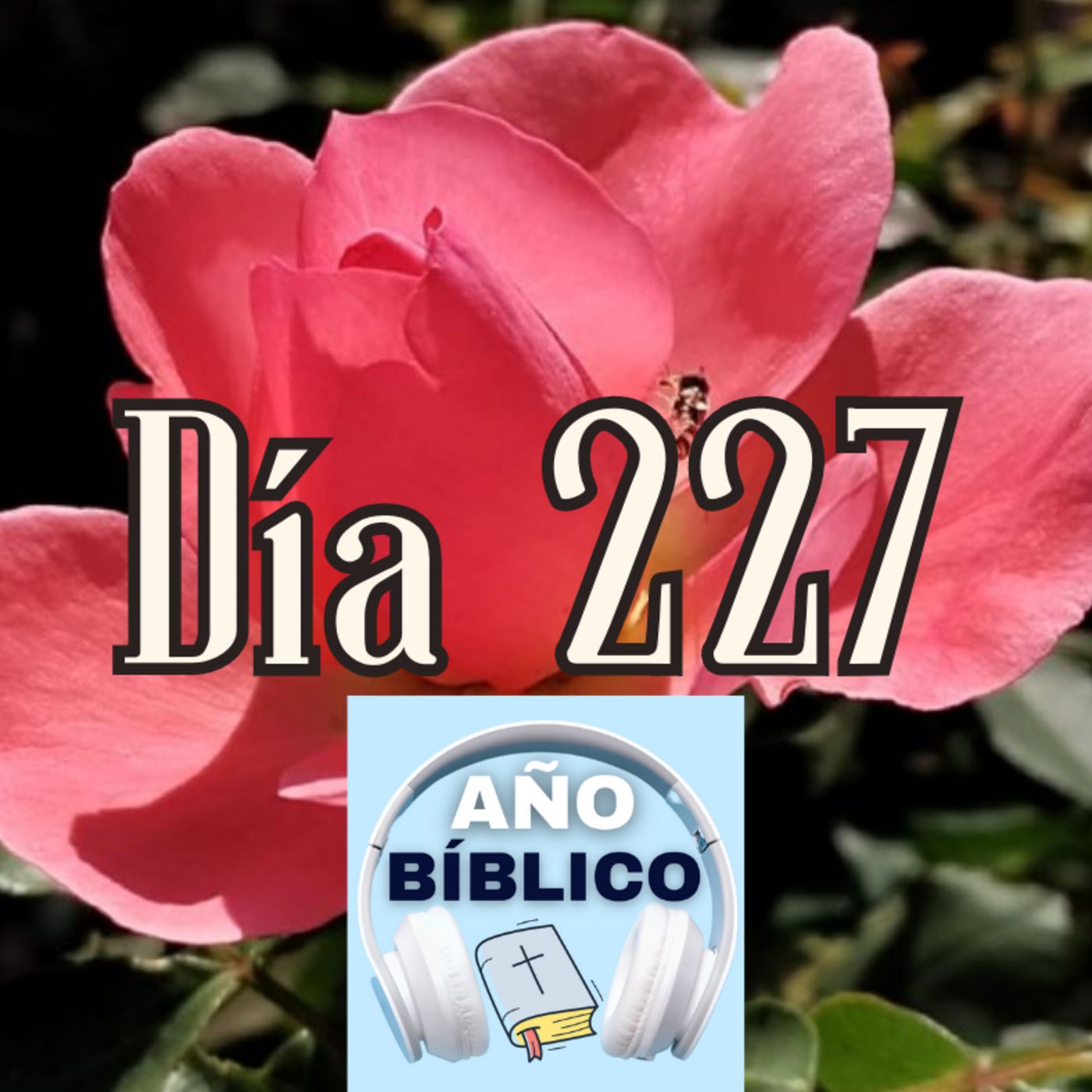 Día 227 - Salmo 93, Job 31-33 y 1 Corintios 11:1-16 episode artwork