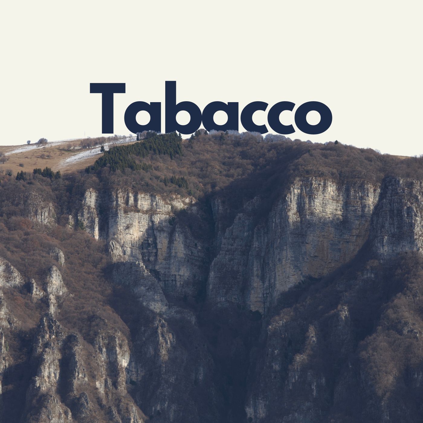 254 - "Il contrabbando è conseguenza d'ingiustizia" | Il tabacco del Canal di Brenta