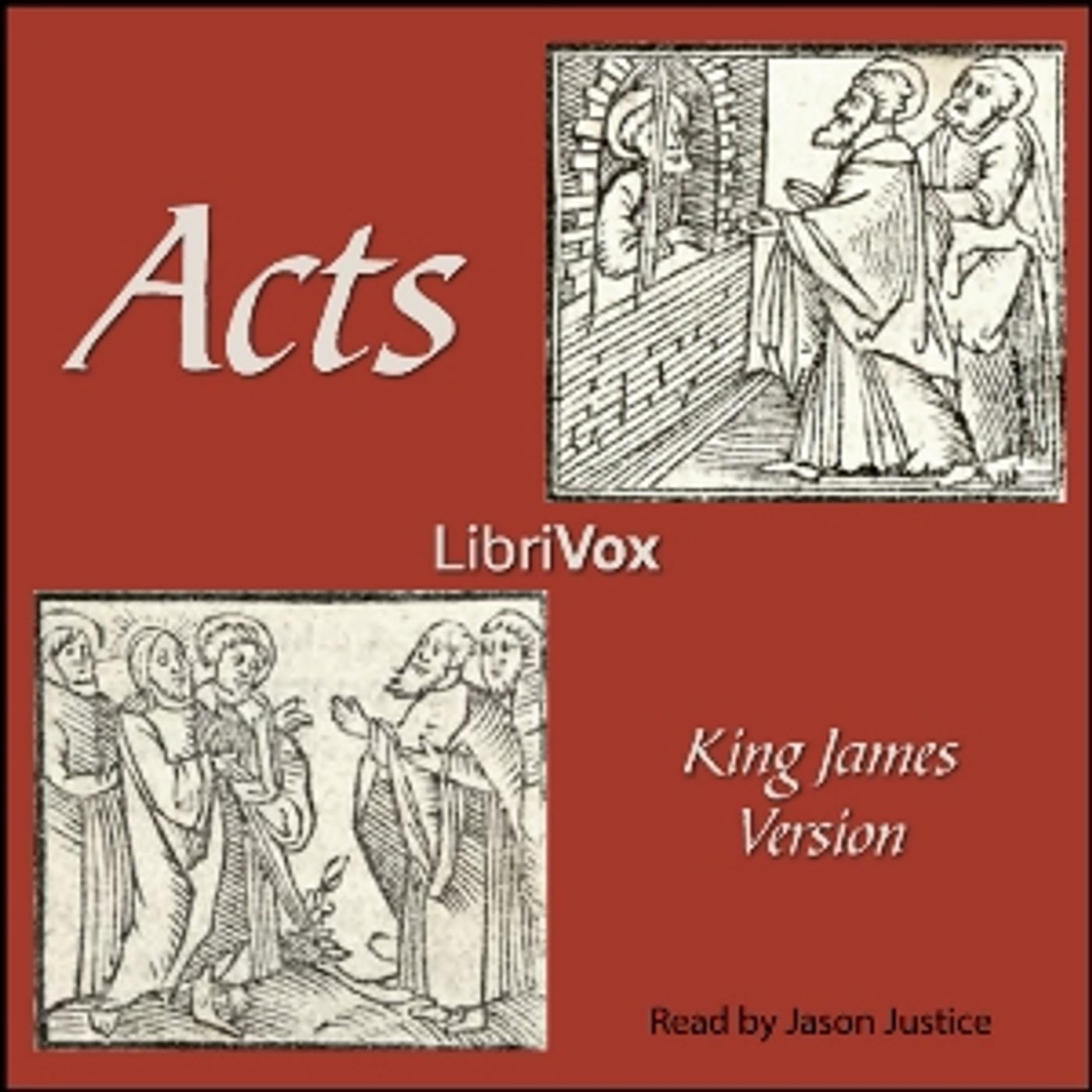 King James Bible - Acts (version 2) cover art