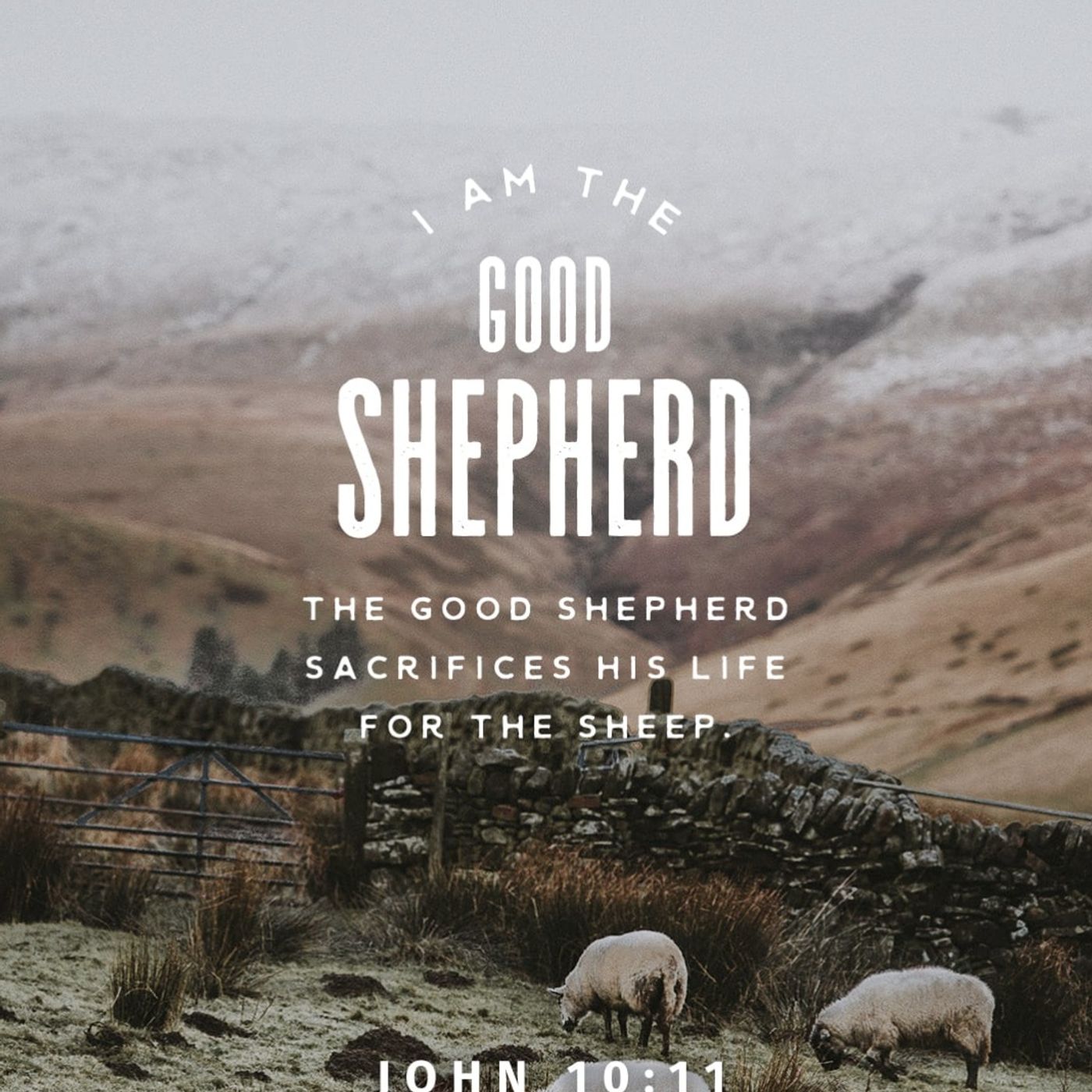 John chapter 10 / March 5th / lap 1