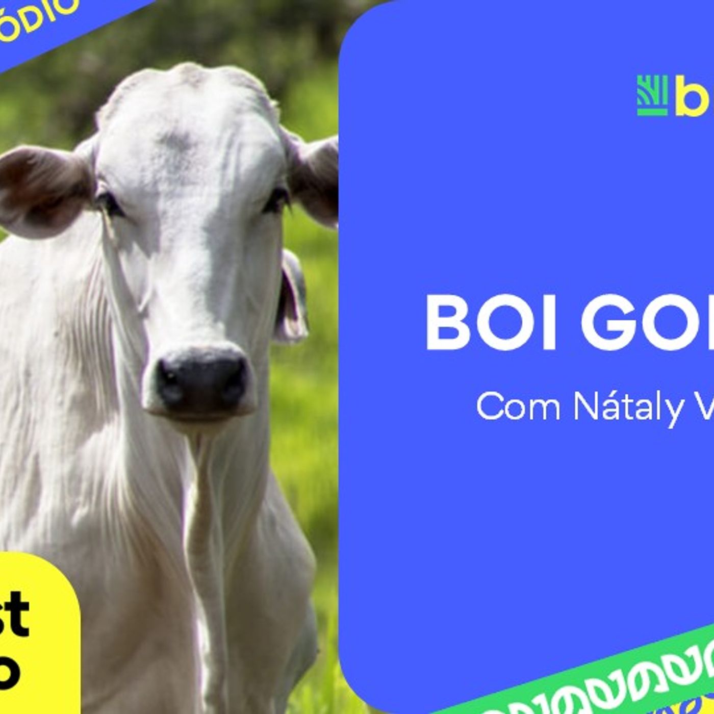 Boi Gordo em Alta e Exportações Aquecidas | BBcast Agro - 19/02/2026 Boi Gordo em Alta e Exportações Aquecidas | BBcast Agro - 19/02/2026