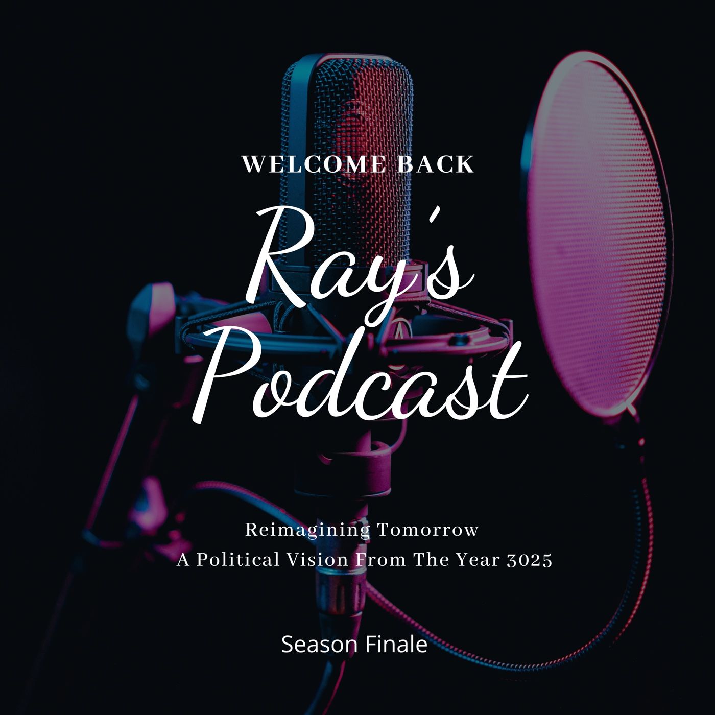 Reimagining Tomorrow, A Political Vision