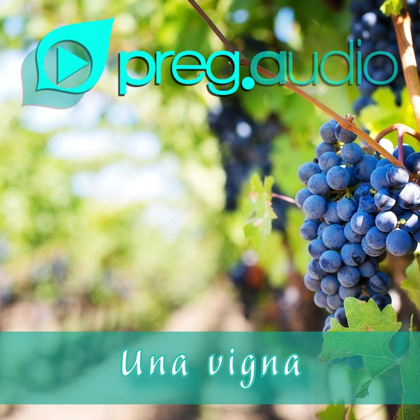 Vangelo del 6 Marzo 2026: Matteo 21,33-43.45-46 con il commento di don Franco Mastrolonardo