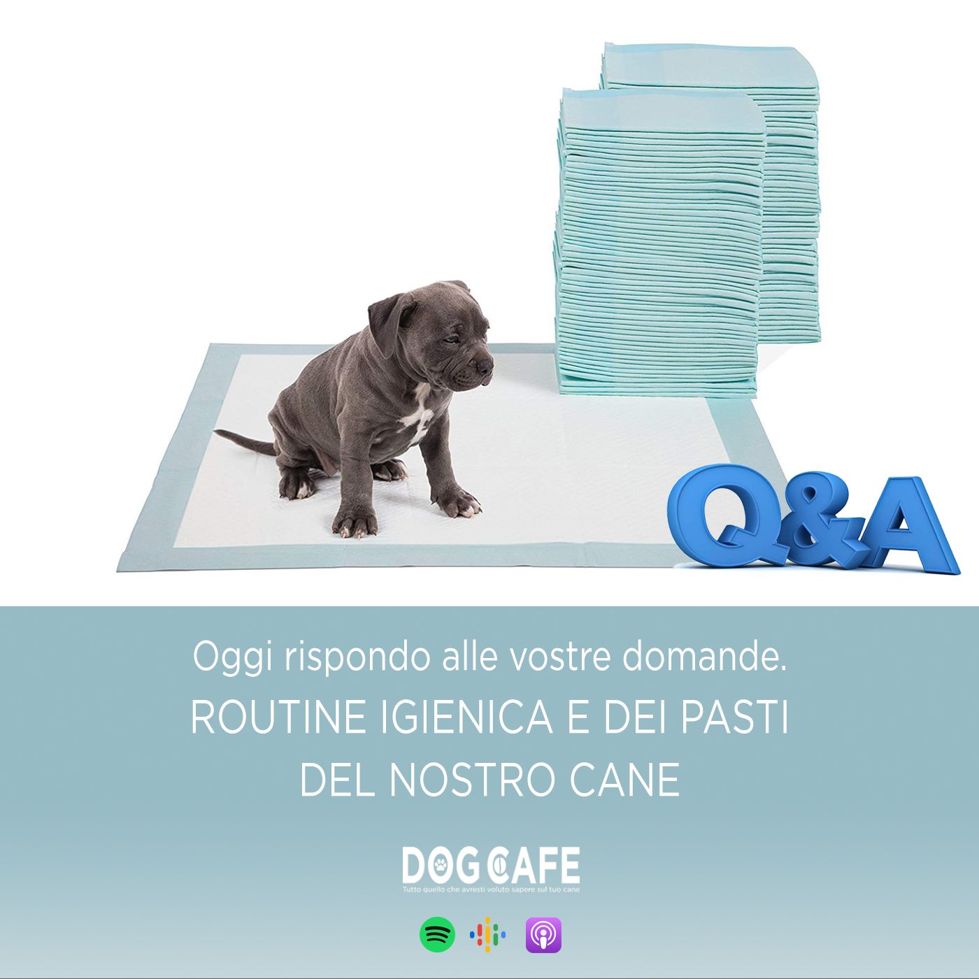 Dog Cafe Podcast