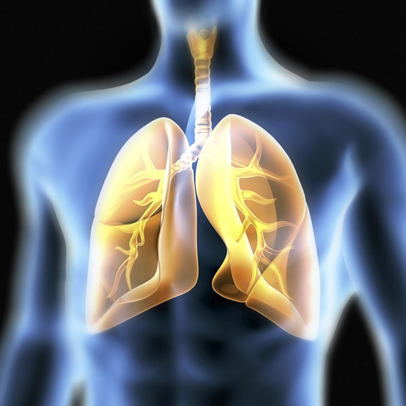 Fisioterapia en rehabilitación pulmonar episode artwork