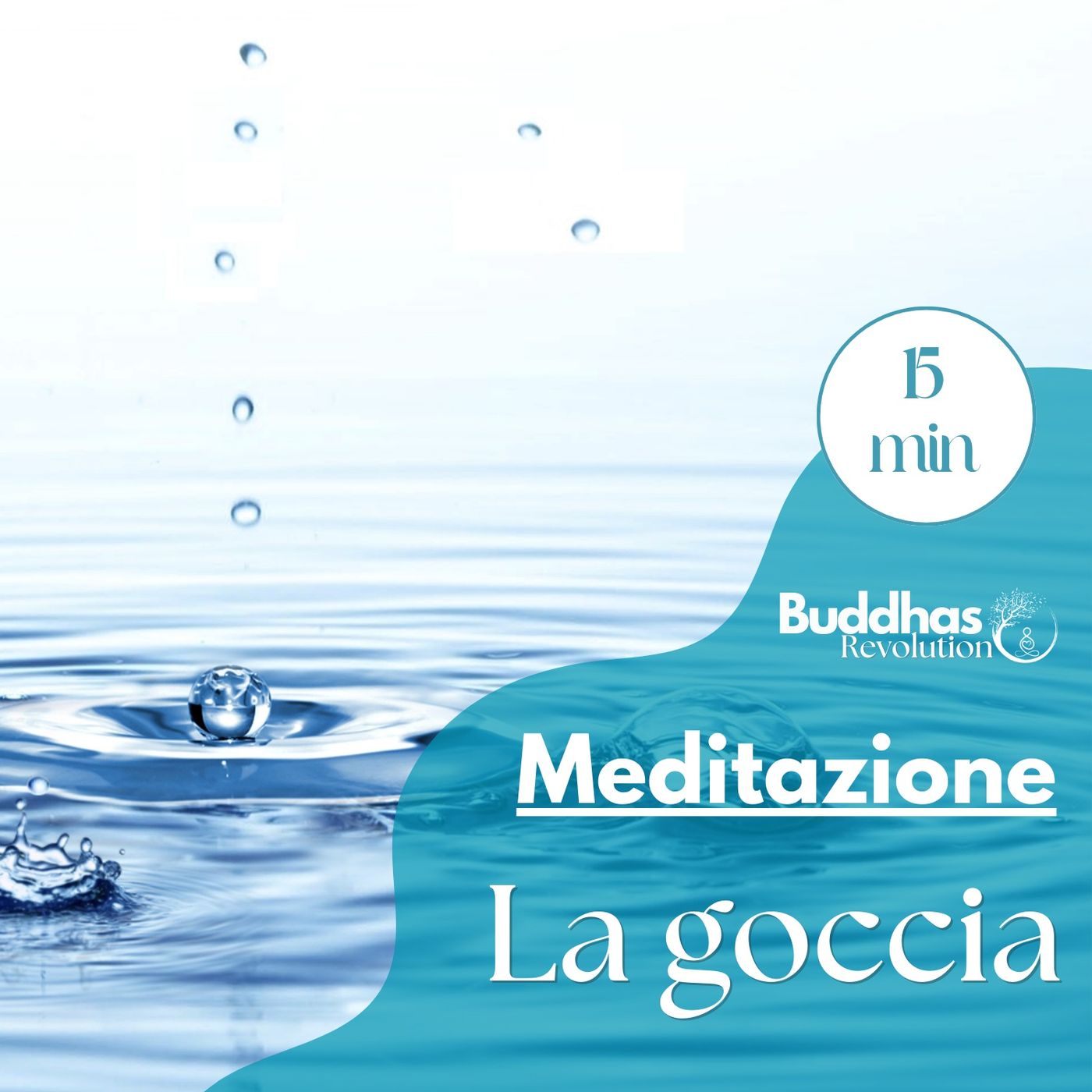 Buddhas Revolution