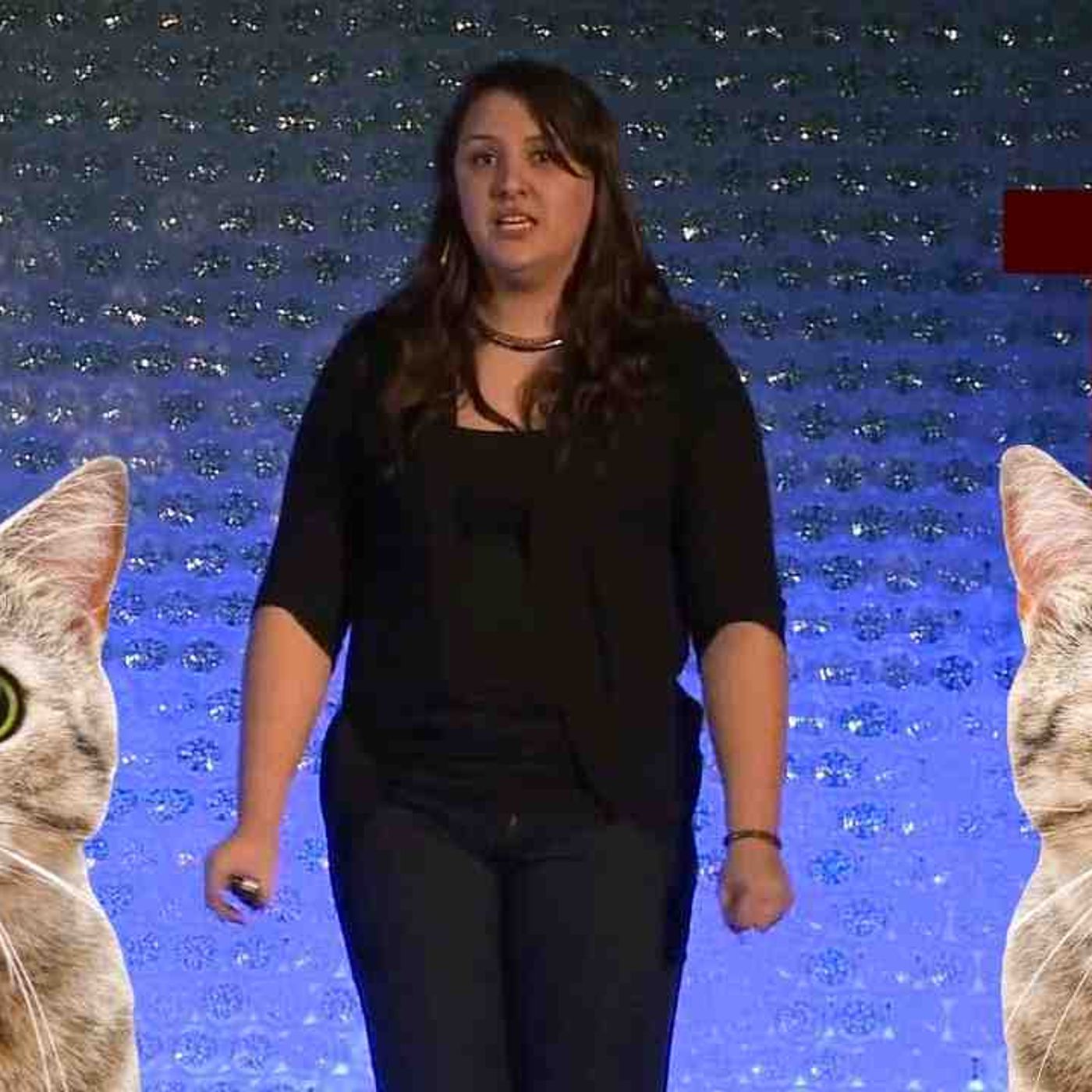 Ted Talks Are a Joke Now