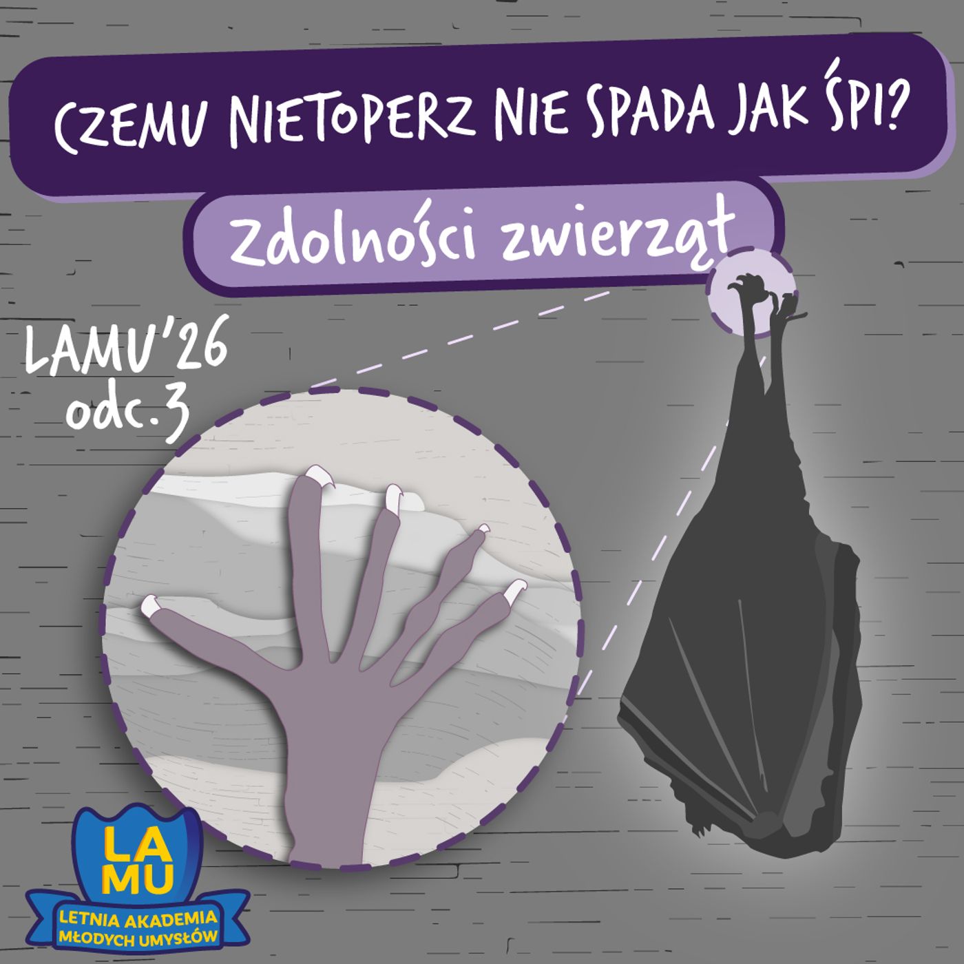 LAMU '26 #03 Dlaczego koty nie lubią się z psami? Czemu nietoperze śpią do góry nogami?