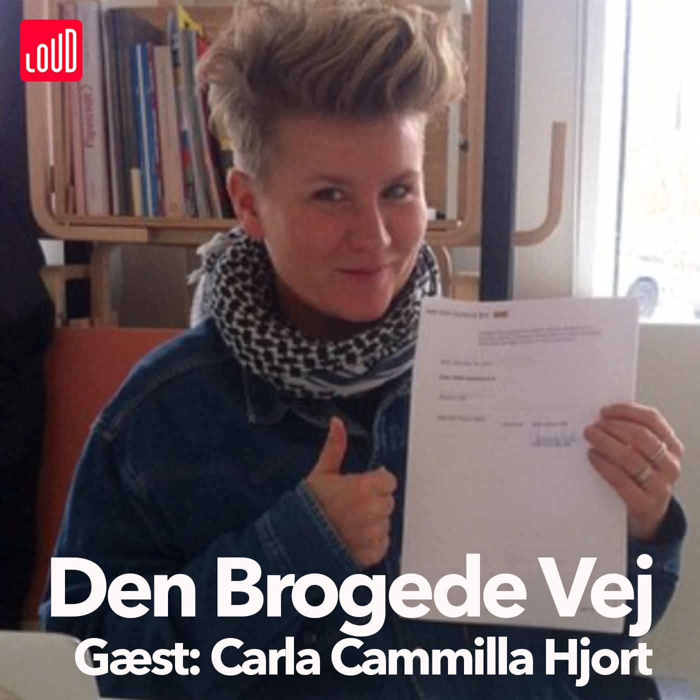 Den Brogede Vej