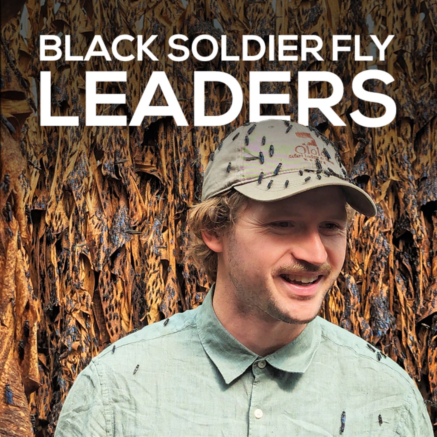 Black Soldier Fly Leaders