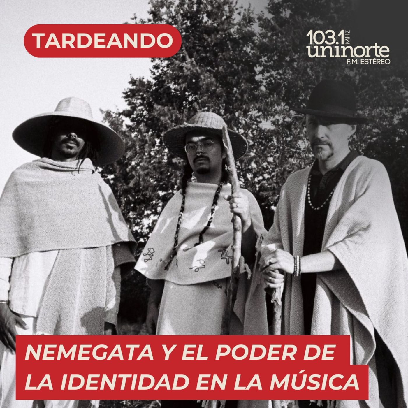 A Palo Seco: Nemegata y el Poder de la Identidad en la Música episode artwork