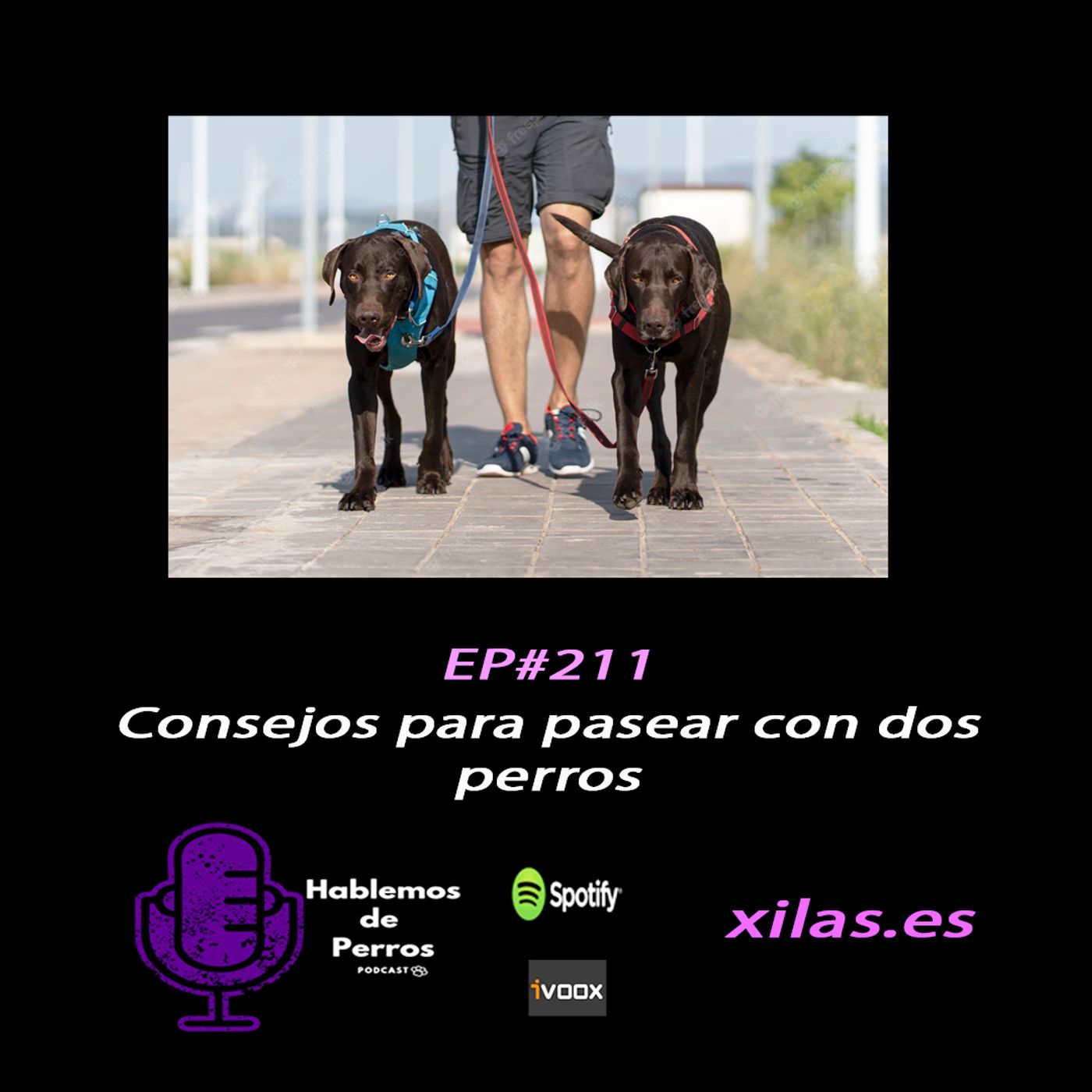 Hablemos de perros