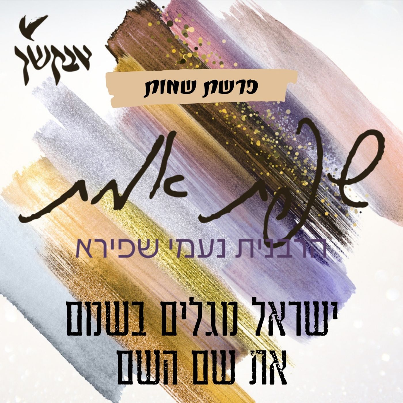 ישראל מגלים בשמם את שם השם | שפת אמת לפרשת שמות episode artwork