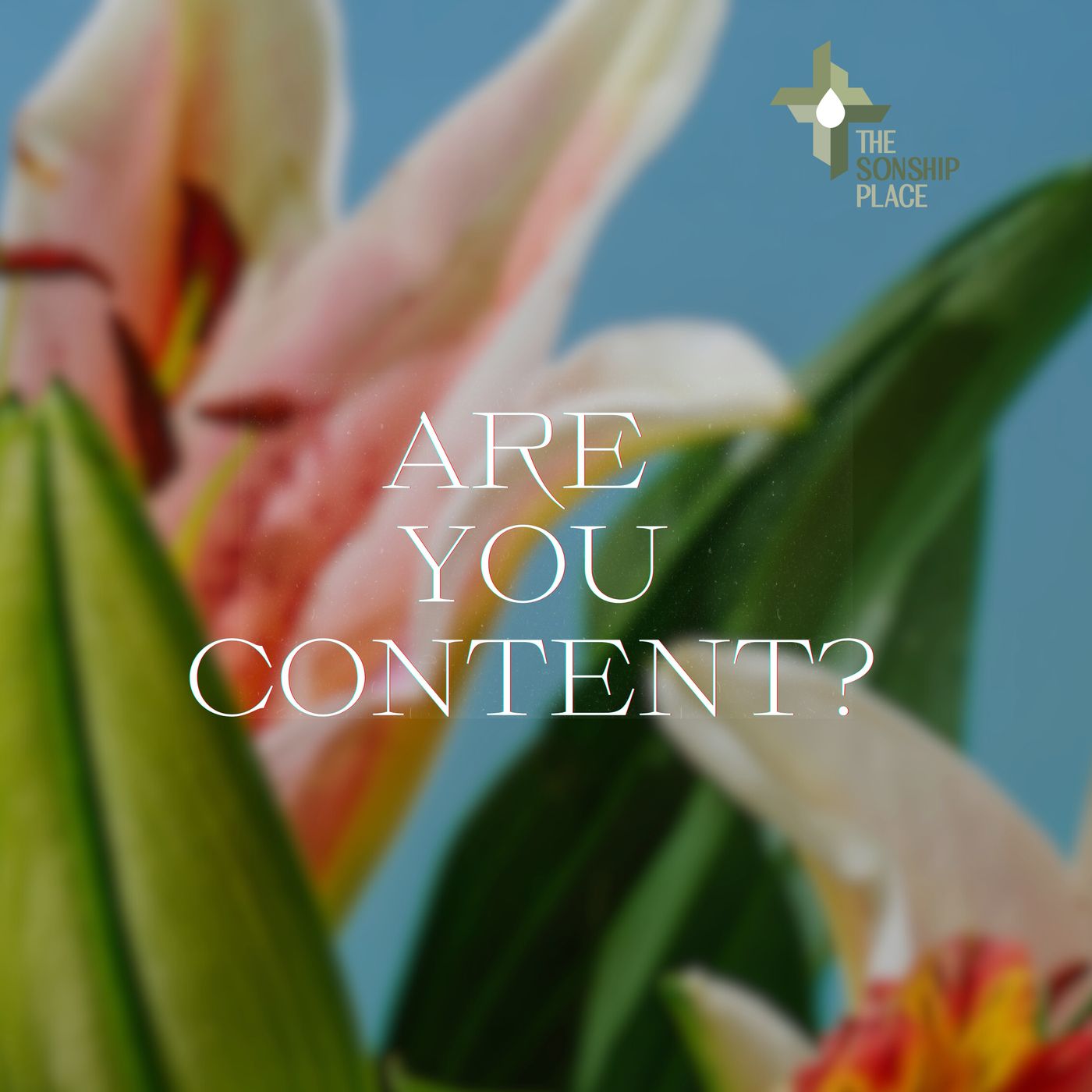 The Word on Wednesday 42: Are You Content? episode artwork